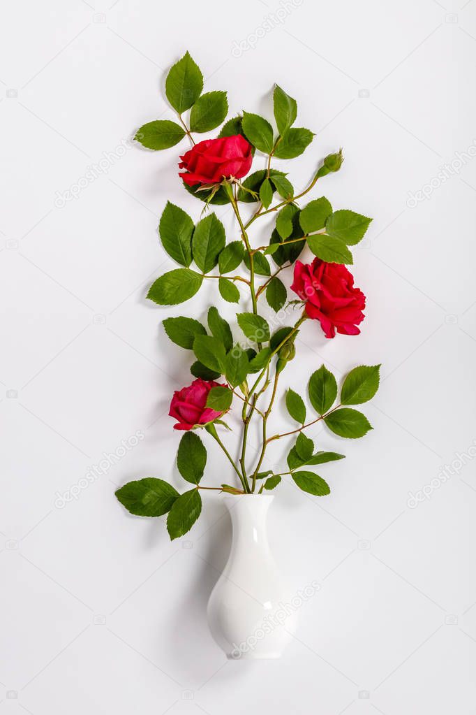 red roses and white vase on white background