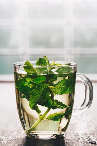 Свежий мятный чай у окна. Уютный дом или концепция здоровья — стоковое фото