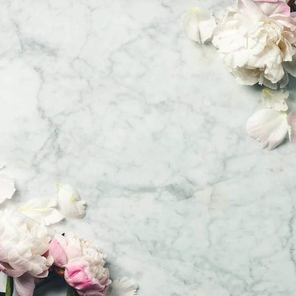 Flat-lay de hermosas flores de peonía sobre fondo de mármol vintage, vista superior, espacio de copia — Foto de Stock