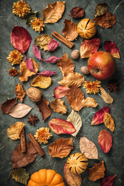 Podzimní listy, ovoce a koření na zeleném vinobraní pozadí — Stock fotografie