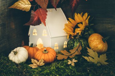 Eski ahşap masada sonbahar kompozisyonu balkabakları ve mısır 