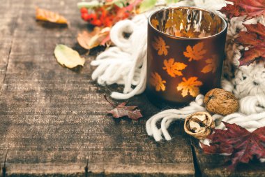 Kopya alanı olan bir sonbahar kompozisyonu için sonbahar yaprakları