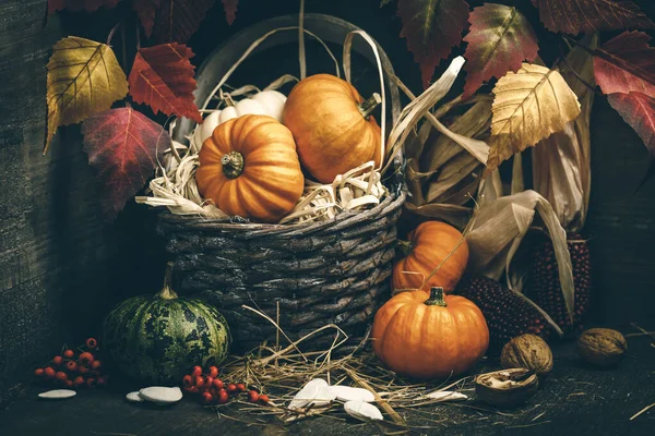 Herbstkomposition Kürbisse und Mais auf altem Holztisch — Stockfoto