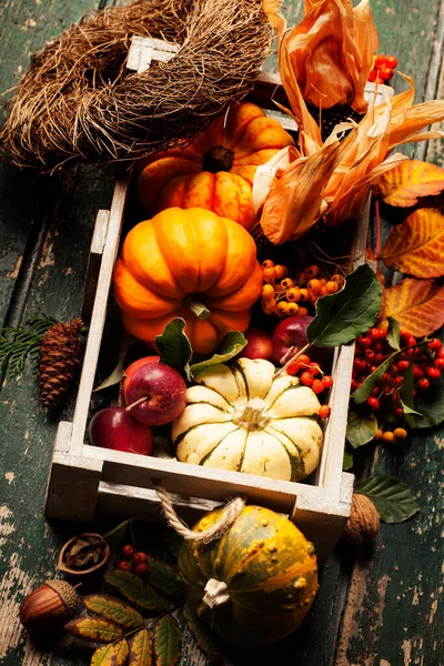 Höst stilleben med pumpor, äpplen och blad — Stockfoto