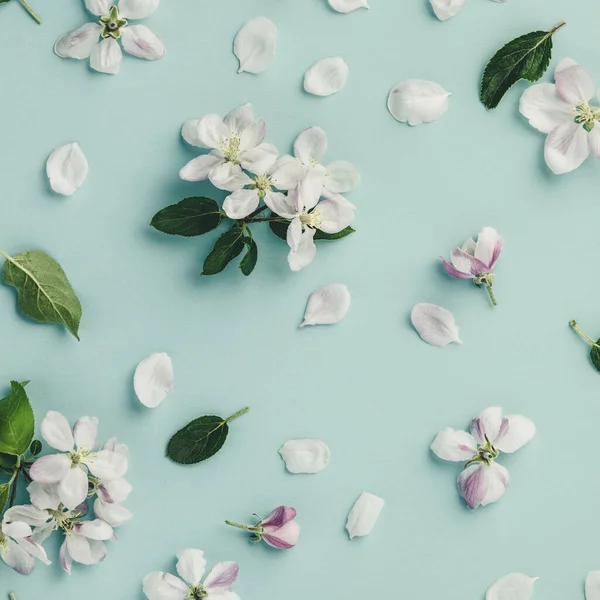 하얀 사과 꽃의 평평 한 면, 밝은 푸른 배경 위에 꽃, 맨 위 뷰, 납작 한 누워 — 스톡 사진