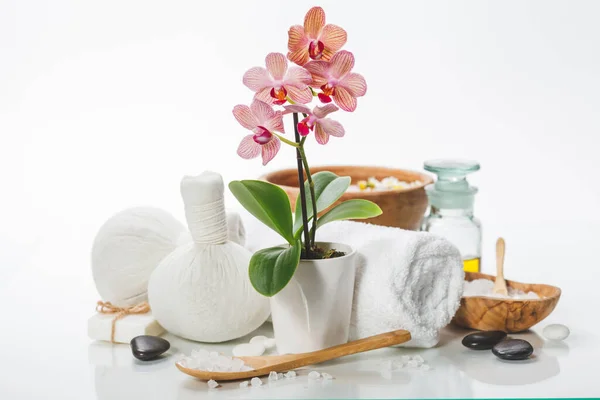 Composizione spa con bella orchidea rosa su bianco — Foto Stock