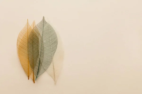Искусственные осенние листья, крупный план, плоский узор, горизонтальный состав — стоковое фото