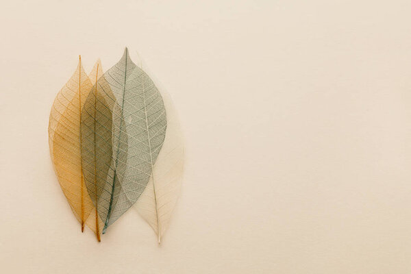 Artificial autumn leaves, closeup, flat lay, horizontal composition