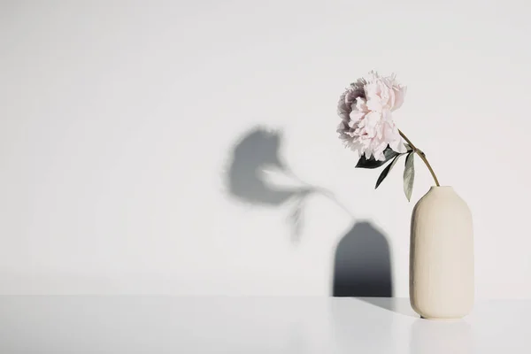 흰 벽에 붙어 있는 아름다운 원추리 꽃으로 씻으라 — 스톡 사진