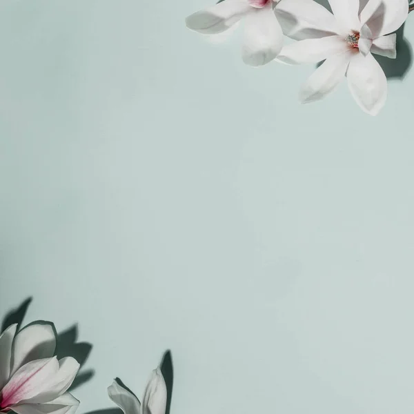 蓝色背景上美丽的粉红色木兰花。顶部视图。平躺在床上春天简约的概念 — 图库照片