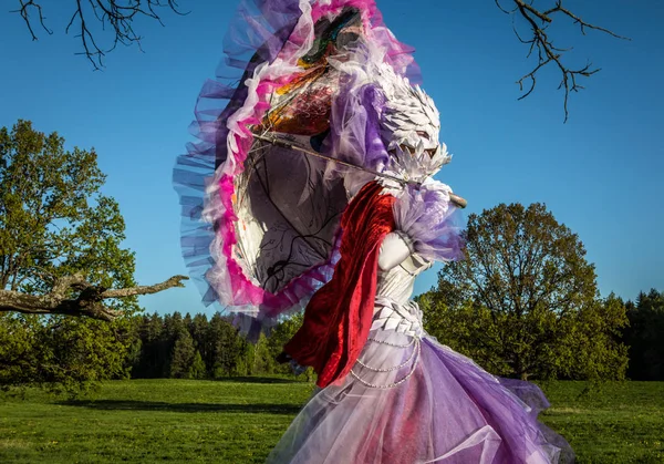 Mujer Cuento Hadas Zancos Brillante Estilización Fantasía Bellas Artes Aire —  Fotos de Stock