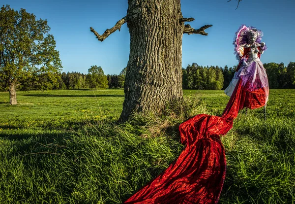 Peri Masalı Kadın Parlak Fantastik Filmde Stilts Güzel Sanatlar Açık — Stok fotoğraf