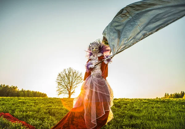 Fairy Tale Kobieta Szczudłach Srebrny Flagi Jasne Fantasy Stylizacja Zewnątrz — Zdjęcie stockowe