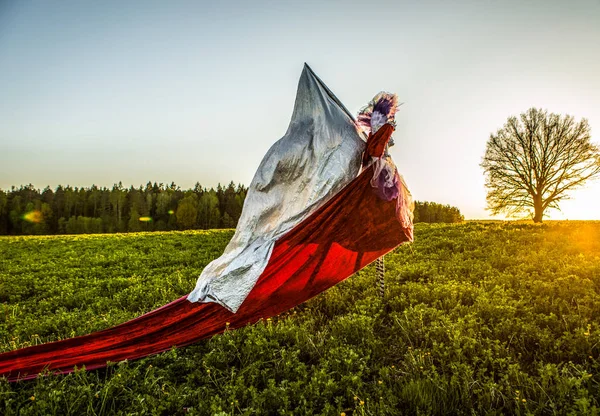 Eventyrkvinne Stylter Med Sølvflagg Lysende Fantasi Stilisering Kunstfoto Utendørs – stockfoto