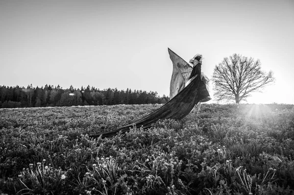 Fairy Tale Woman Stilts Bright Fantasy Stylization Black White Photo — Stock Photo, Image