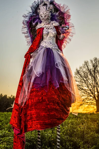 Femme Conte Fées Sur Pilotis Dans Une Stylisation Fantastique Lumineuse — Photo