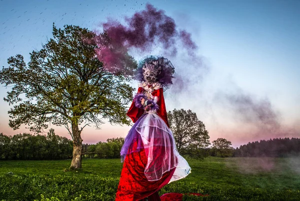 Mulher Conto Fadas Palafitas Estilização Fantasia Brilhante Bela Arte Livre — Fotografia de Stock