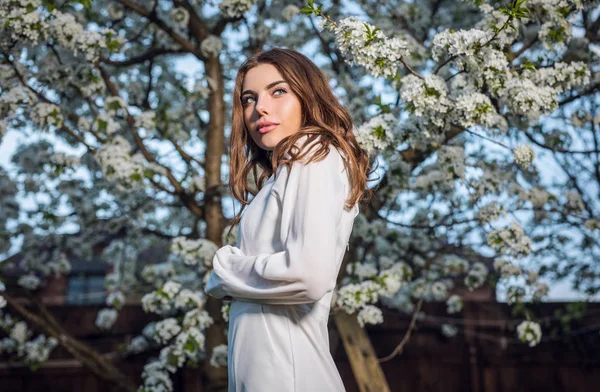 咲く桜に対して秋の庭でポーズをとって白いドレスの美しい若い女性の肖像画 — ストック写真