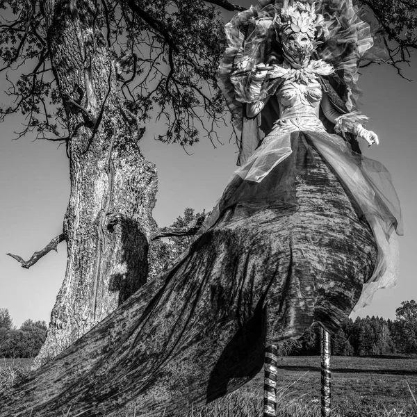 Donna Fiaba Trampoli Stilizzazione Fantasia Belle Foto Bianco Nero — Foto Stock