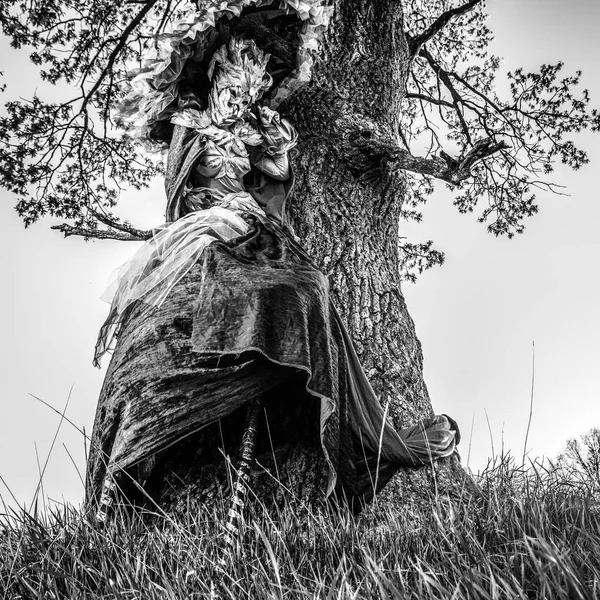 Donna Fiaba Trampoli Stilizzazione Fantasia Belle Foto Bianco Nero — Foto Stock