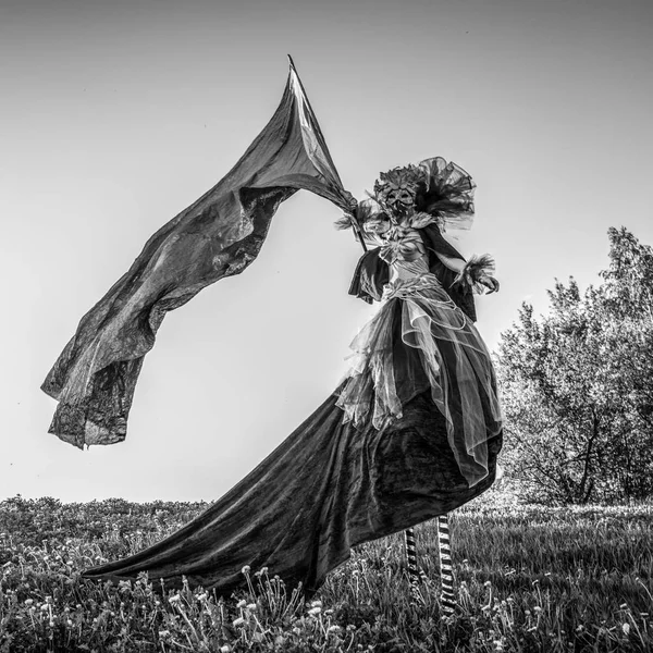 Mujer Cuento Hadas Zancos Con Bandera Plata Estilización Fantasía Bellas — Foto de Stock