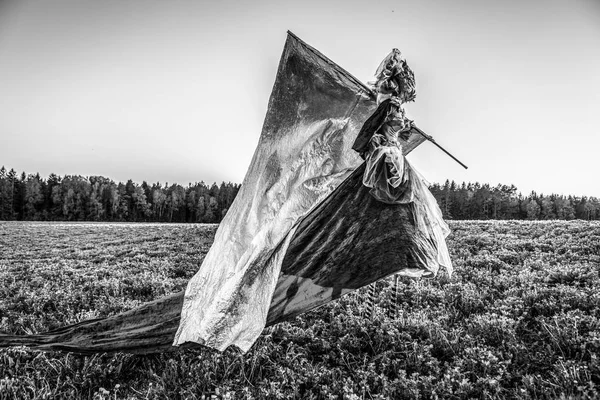 Fantastik Filmde Gümüş Bayrağı Ile Stilts Masal Kadın Güzel Sanatlar — Stok fotoğraf