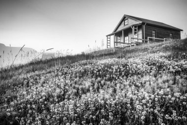 Geleneksel İzlanda köy evleriyle. Siyah-beyaz fotoğraf.
