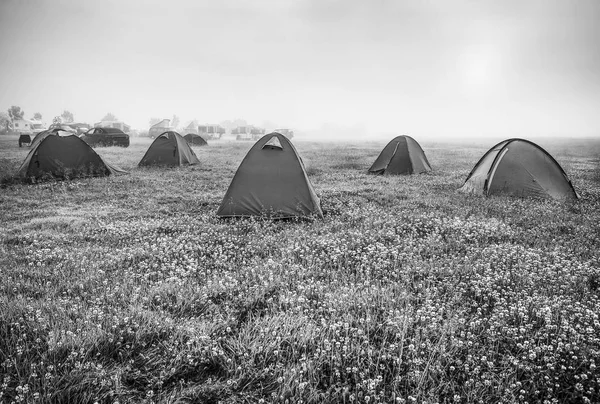 Travel tents on morning field. Black-white photo.