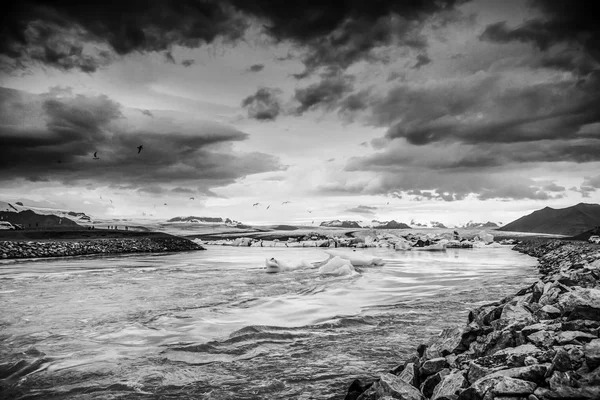 Glaciers on beaches of Iceland. Black-white photo.