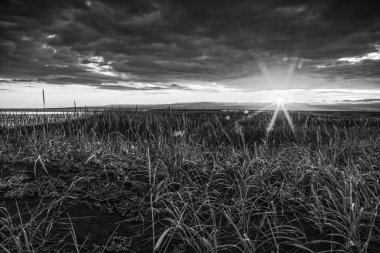 Bir çayır pitoresk manzara şaşırtıcı kırmızı güneş ile İzlanda'nın geleneksel doğayla ayarla.