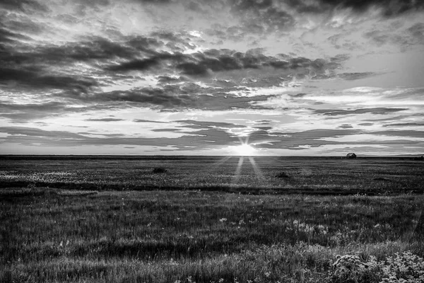 Paesaggio Pittoresco Prato Con Natura Tradizionale Dell Islanda Foto Bianco — Foto Stock