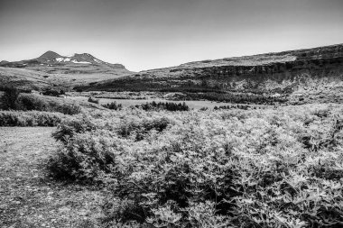 İzlanda doğanın güzel doğal manzara. Siyah-beyaz fotoğraf.
