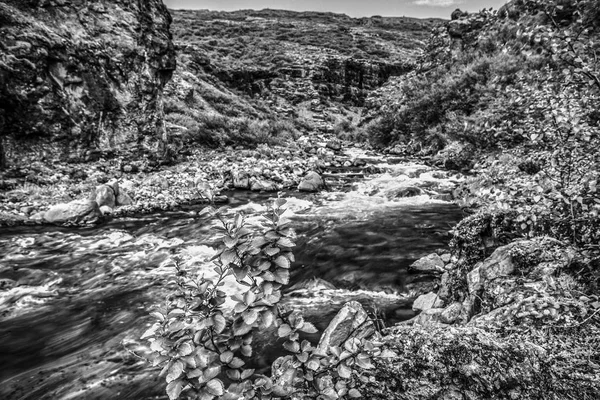 Schilderachtig Landschap Van Een Berg Rivier Zwart Wit Foto — Stockfoto