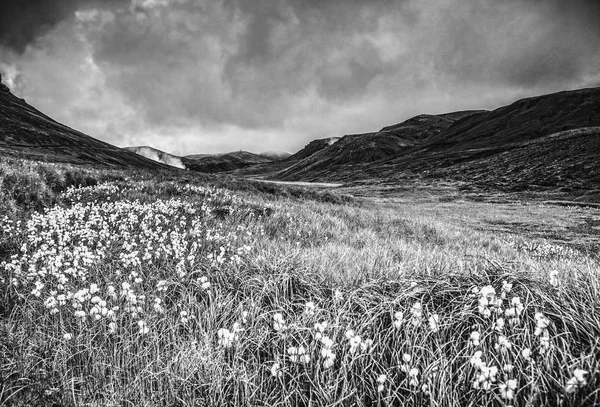 Hermoso Paisaje Paisajístico Naturaleza Islandesa Foto Blanco Negro — Foto de Stock