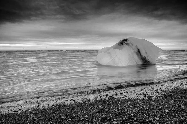 Ghiacciai Sulle Spiagge Dell Islanda Foto Bianco Nero — Foto Stock