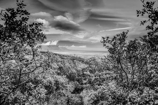 Prachtige Schilderachtige Landschap Van Ijslandse Natuur Zwart Wit Foto — Stockfoto