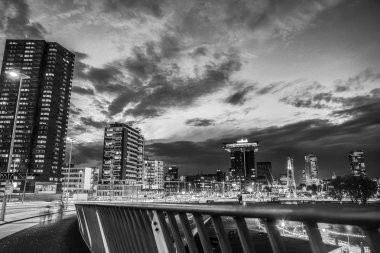 Rotterdam şehir manzarası genel bakış. Siyah-beyaz fotoğraf.