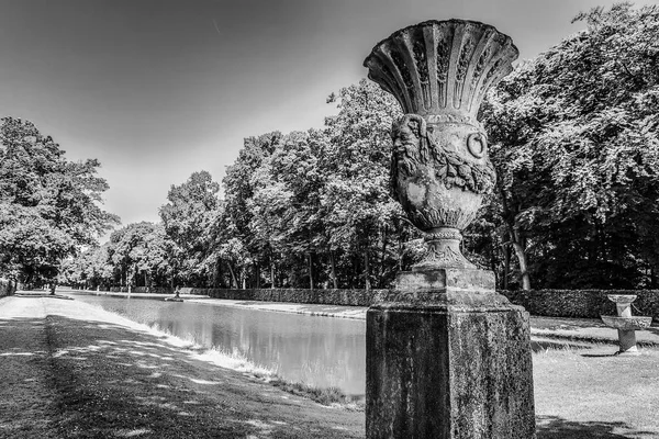 Blooming European Garden Park Elements Close Black White Photo — Stock Photo, Image