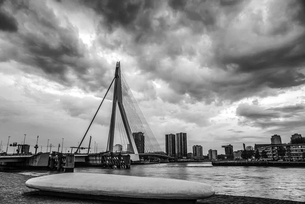 Rotterdam Şehir Manzarası Erasmus Köprüsü Genel Bakış Siyah Beyaz Fotoğraf — Stok fotoğraf