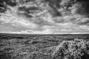 İzlanda doğanın güzel doğal manzara. Siyah-beyaz fotoğraf.