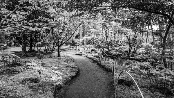 Jardín Tradicional Japonés Foto Blanco Negro —  Fotos de Stock
