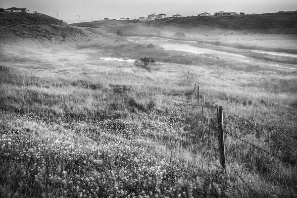 Scenic Icelandic Morning Landscape Mystical Haze Black White Photo — Stock Photo, Image