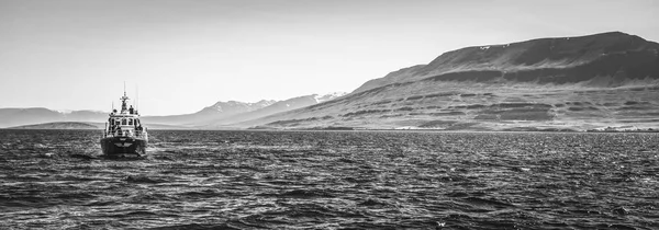 Icelandic fishing boat for whale watching. Black-white photo.