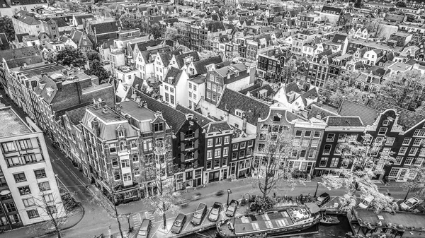 Amsterdam city top view. Black-white photo.