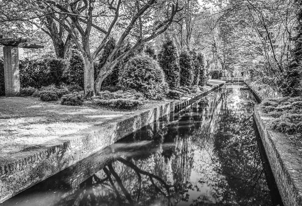 Elementos Florecientes Del Parque Europeo Foto Blanco Negro — Foto de Stock