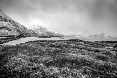 Lofoten Adaları. Güzel Norveç bahar manzara.