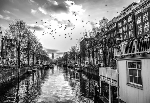 Amsterdam Países Bajos Diciembre 2016 Edificios Famosos Lugar Del Centro — Foto de Stock