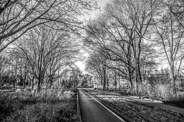 Asphalt road outside the city. Black-white photo.