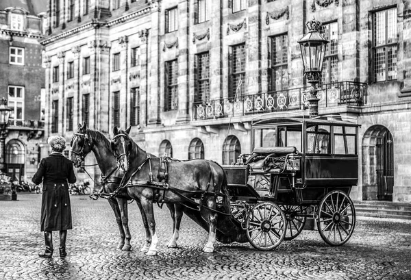Amsterdam Paesi Bassi Dicembre 2017 Carrozza Con Cavalli Nella Piazza — Foto Stock