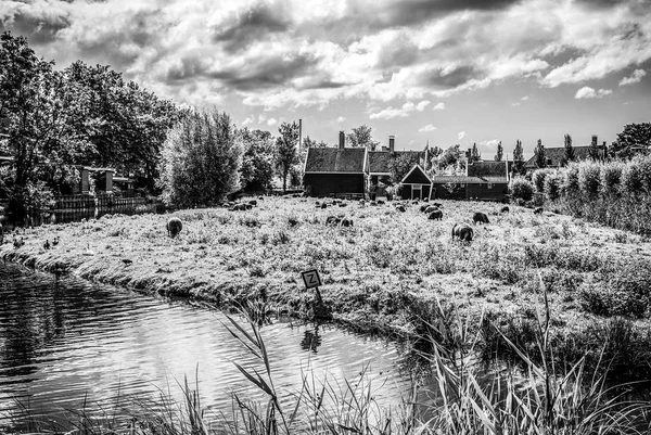 Beautiful Traditional Dutch Landscape Channels Buildings — Stock Photo, Image